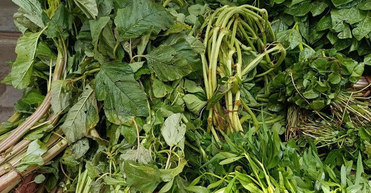 ৩০ টাকায় এক আঁটি লাল শাক