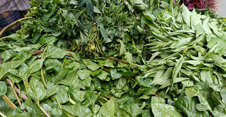 ৩০ টাকায় এক আঁটি লাল শাক