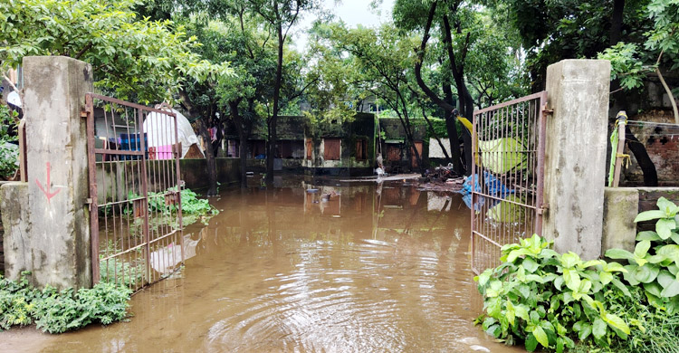আবর্জনায় ভরা ডোবা-নালা, দুর্গন্ধ-মশায় অতিষ্ঠ পৌরবাসী