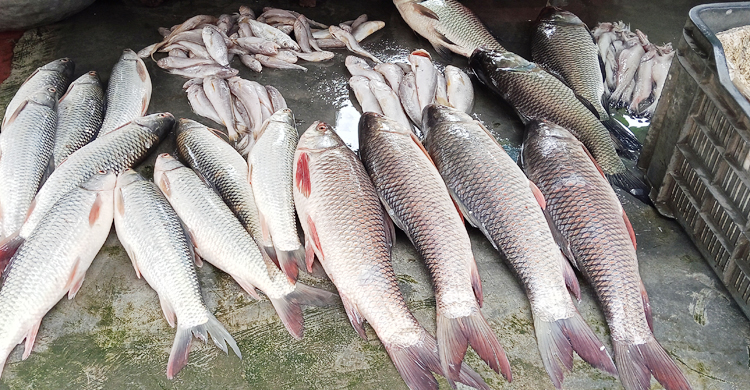 খুলনার বাজারে নাগালের বাইরে সবিজ