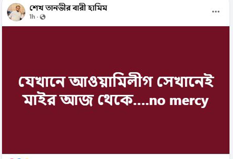 যেখানে আওয়ামী লীগ সেখানেই মাইর: হামীম