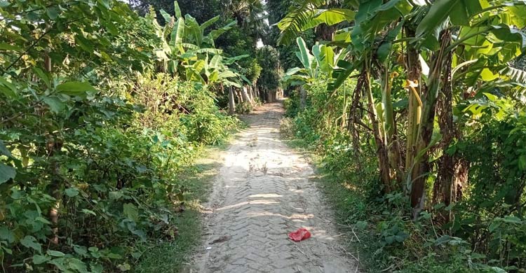 ৫৪ বছরেও পাকা রাস্তার মুখ দেখেনি ফরিদপুরের পাঁচ গ্রাম