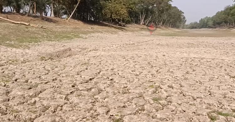চুয়াডাঙ্গায় কৃষিতে বছরে ক্ষতি কোটি কোটি টাকা