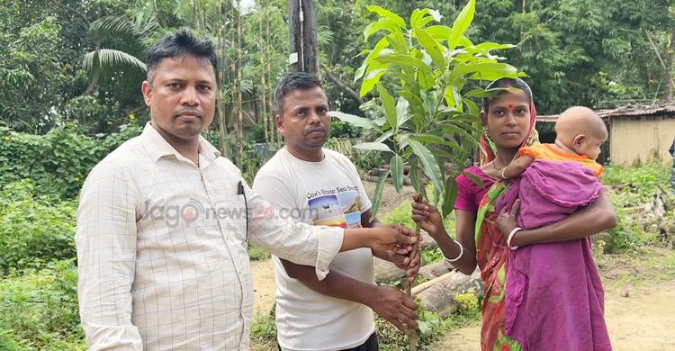 চা-শ্রমিক বিষ্ণু হাজরার বৃক্ষপ্রেম ও সবুজ বিপ্লবের গল্প
