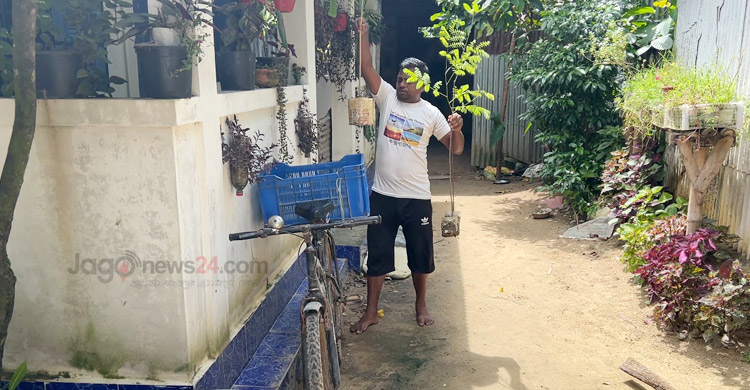 চা-শ্রমিক বিষ্ণু হাজরার বৃক্ষপ্রেম ও সবুজ বিপ্লবের গল্প