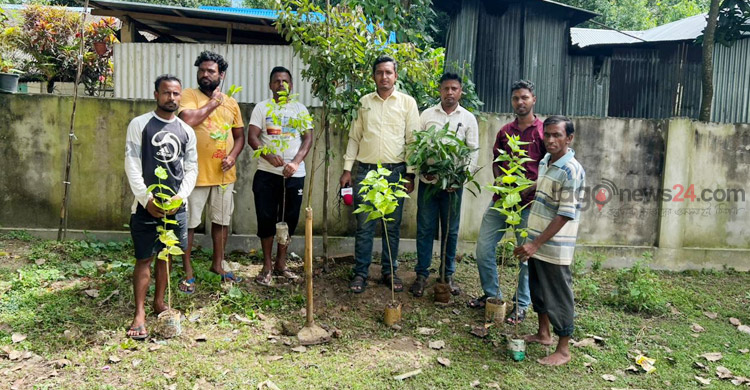 চা-শ্রমিক বিষ্ণু হাজরার বৃক্ষপ্রেম ও সবুজ বিপ্লবের গল্প