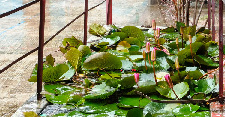 বিদ্যালয় ও ছাত্রীদের জীবন একসঙ্গে গড়ে চলেছেন শিক্ষক রতন কুমার