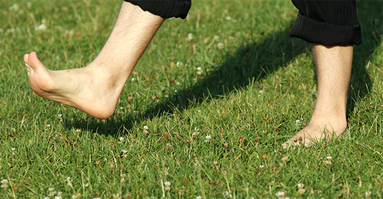 হেমন্তের সকালে খালিপায়ে শিশিরে হাঁটলে যা ঘটে