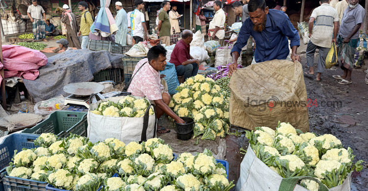 বাজারে শীতের আগাম সবজি, কমছে দাম