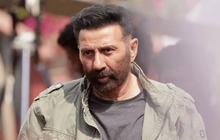 বলিউড অভিনেতা সানি দেওল