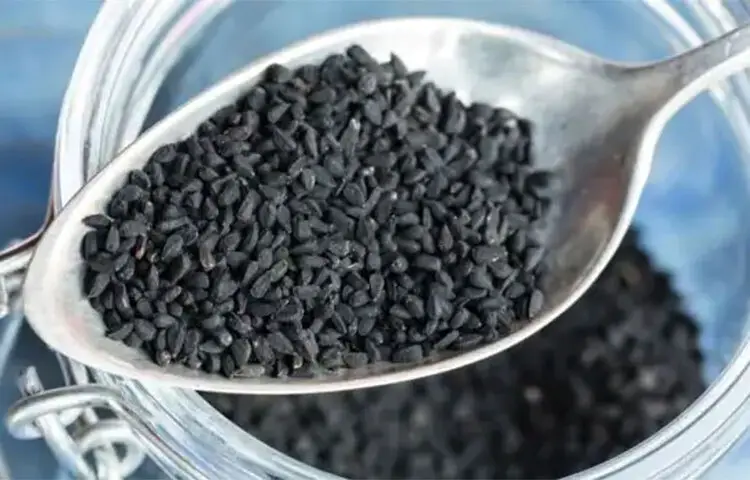 কালিজিরায় নিয়ন্ত্রণে থাকবে উচ্চ রক্তচাপ, জানুন রহস্য