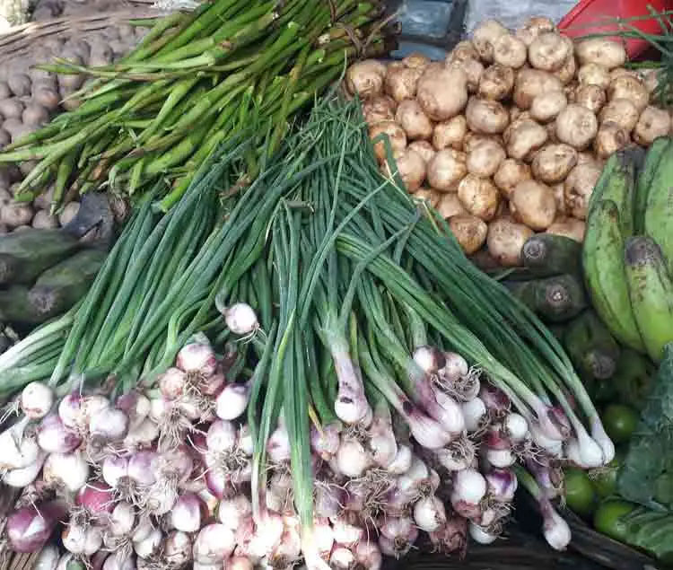 রোগ প্রতিরোধ ক্ষমতা বাড়ায় পেঁয়াজ পাতা