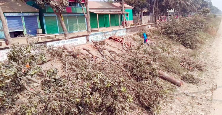 বেড়িবাঁধের গাছ কর্তনের ঘটনায় চুরির মামলা, পদ হারালেন সেই বিএনপি নেতা