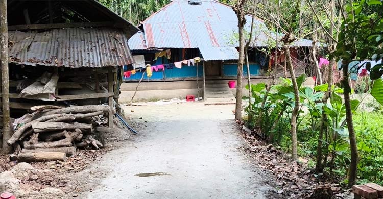 সরকারি রাস্তার বরাদ্দের ইট দিয়ে নিজ বাড়ির রাস্তা করলেন ইউপি সদস্য