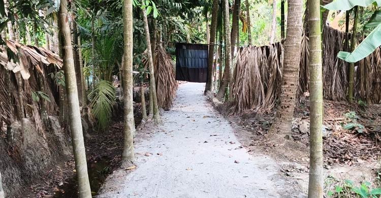 সরকারি রাস্তার বরাদ্দের ইট দিয়ে নিজ বাড়ির রাস্তা করলেন ইউপি সদস্য