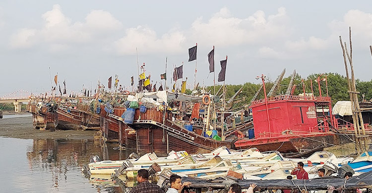 কক্সবাজারে ত্রিমুখী সংকটে মৎস্য খাত, সাগরে যাচ্ছে না শত শত ট্রলার