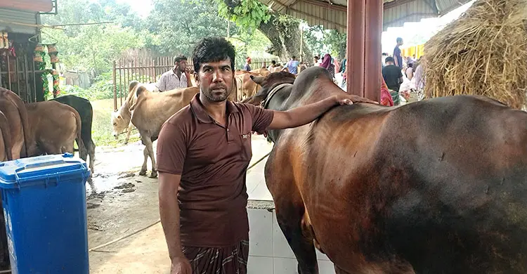 জামালপুরের ৪০০ গরু নিয়ে ঢাকার পথে ক্যাটল স্পেশাল ট্রেন